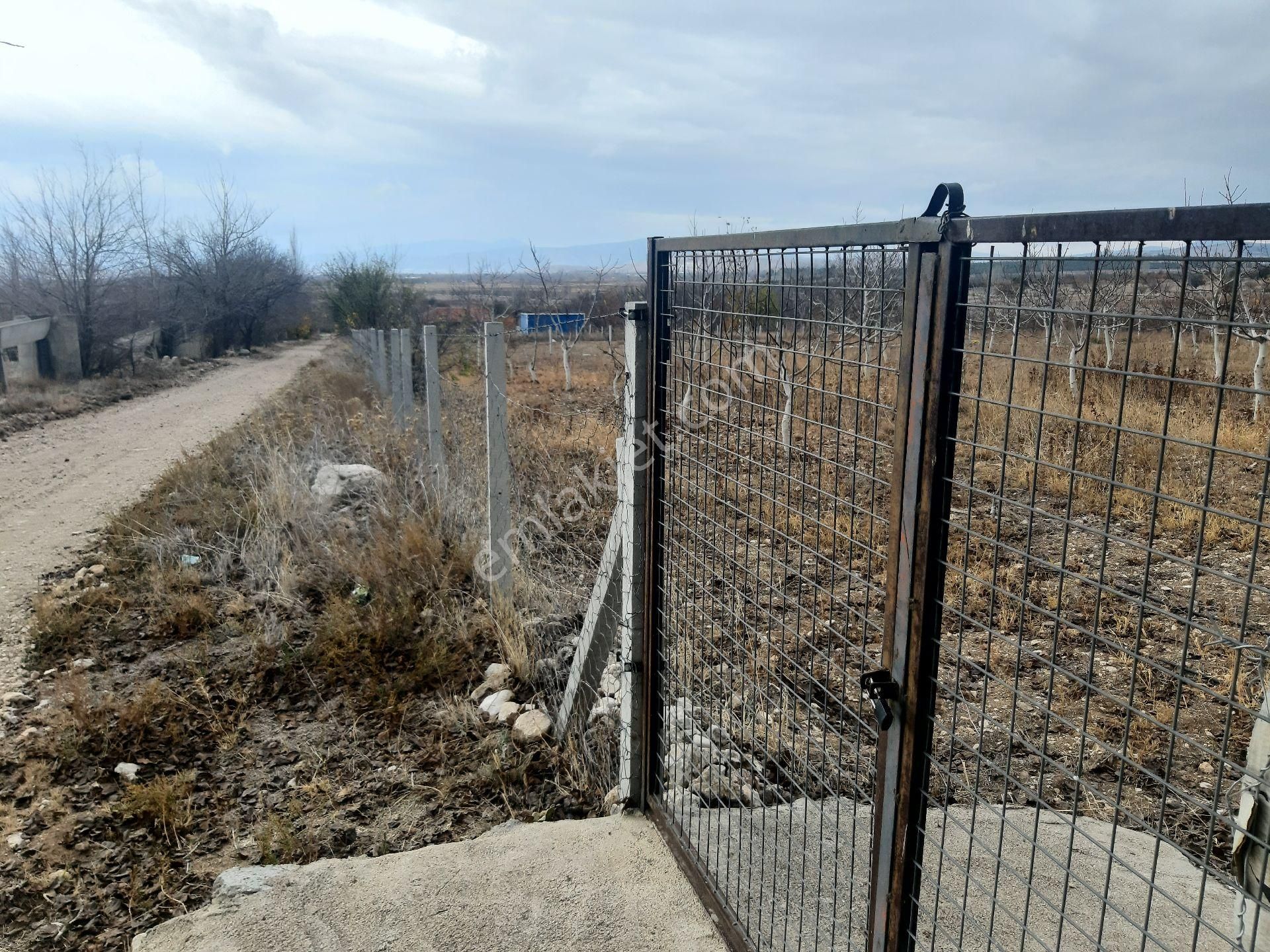 Atabey İslamköy Köyü (Hıdır) Satılık Bağ & Bahçe Atabey'de Tapu Sahibinden Yol Kenarı Bahçe