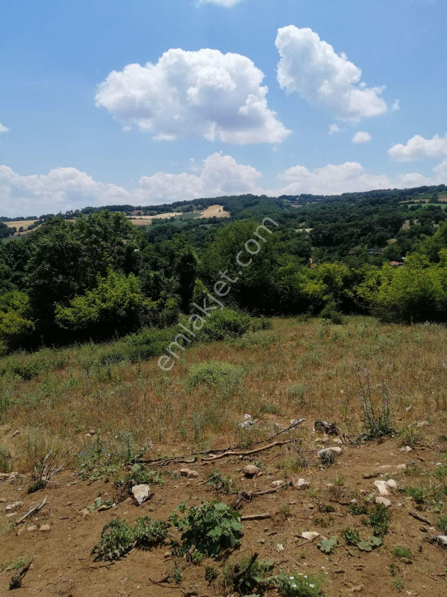 Çan Altıkulaç Köyü Satılık Bağ & Bahçe  ÇANAKKALE ÇAN ALTIKULAÇ KÖYÜ 76 M2 SATILIK BAHÇE