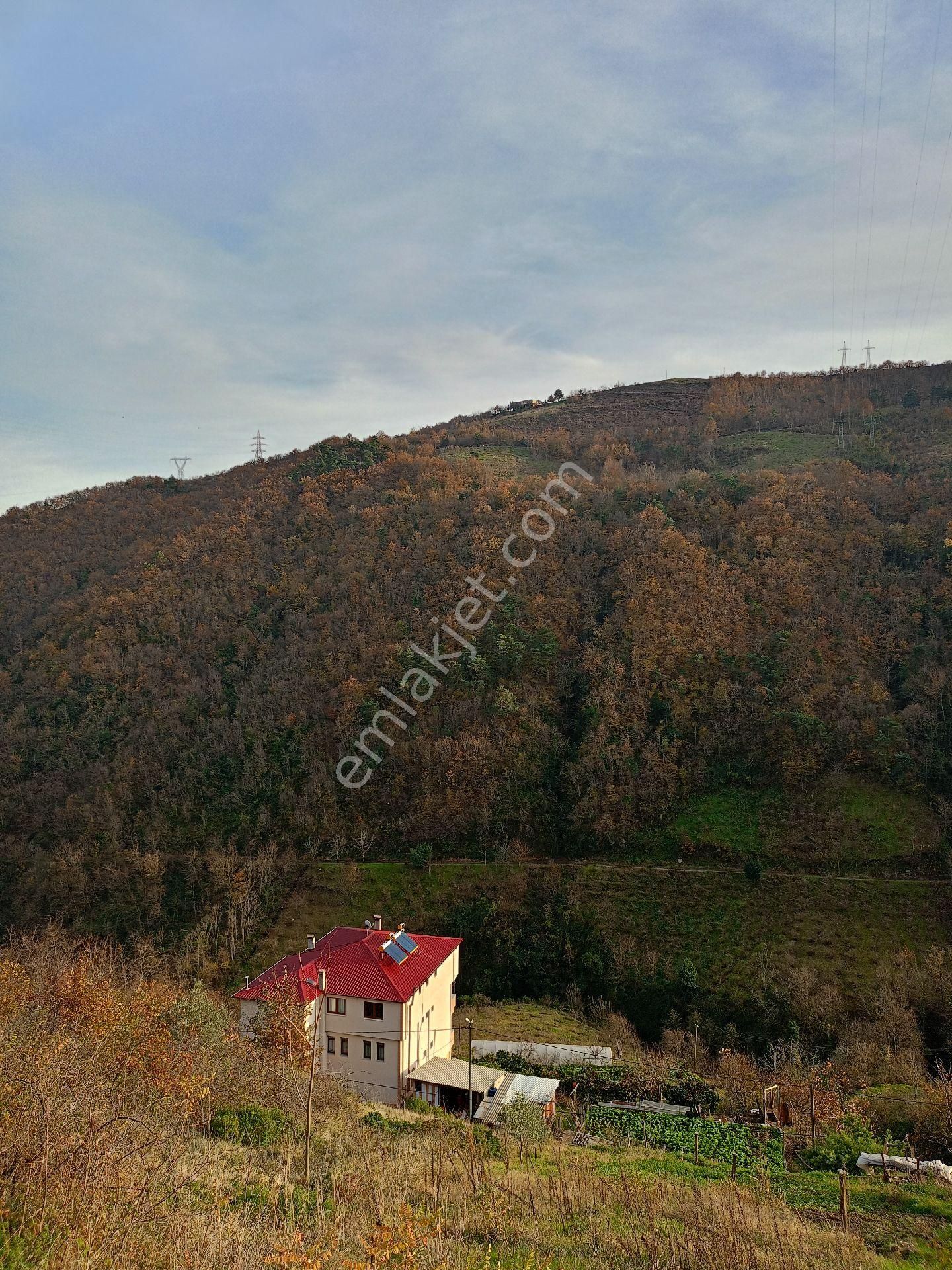 Akçaabat Darıca' Da Villalık Deniz Manzaralı Satılık 4005 M2 Arazi. - Görsel 17