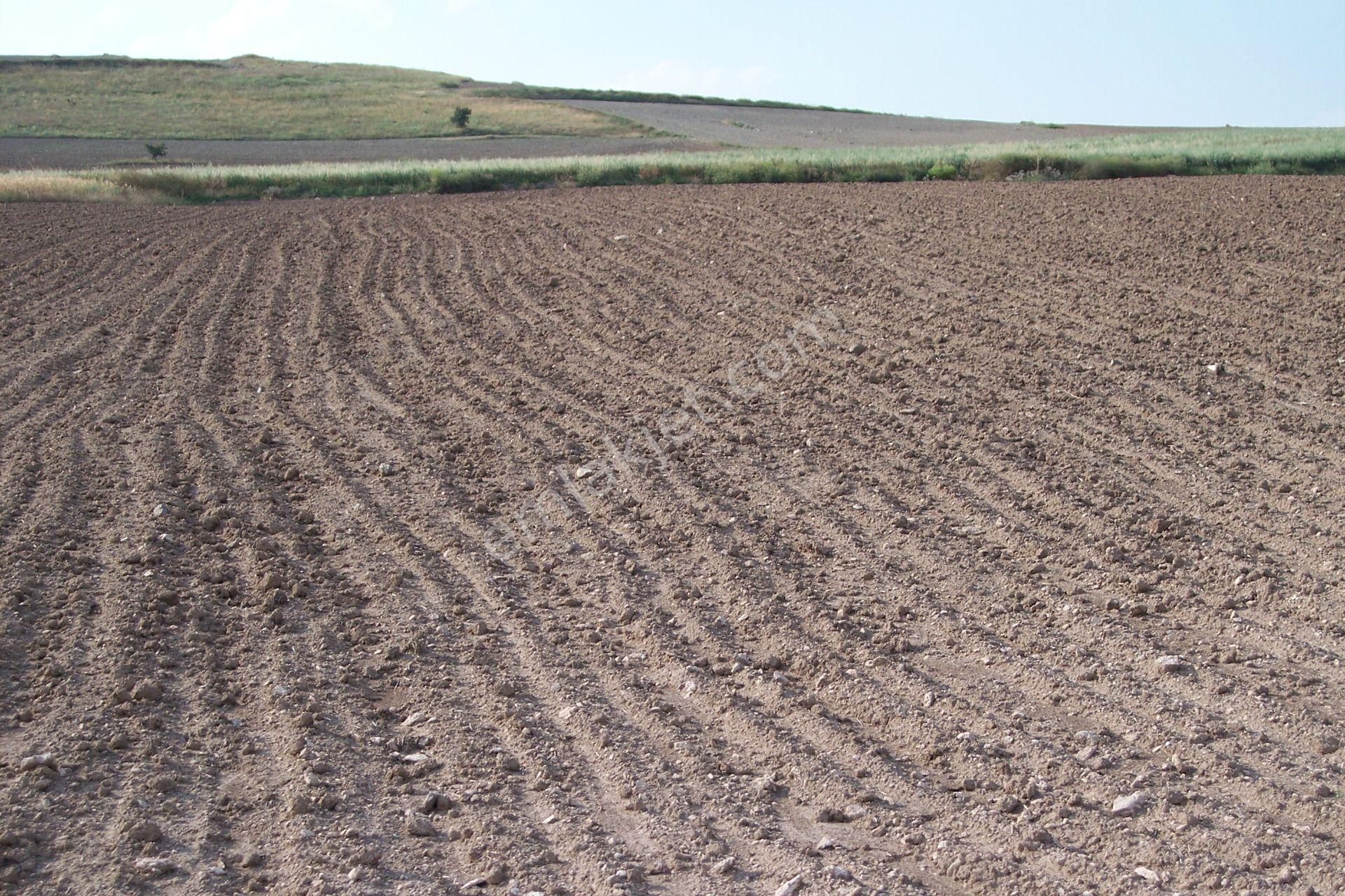 Polatlı Yıldızlı Satılık Muhtelif Arsa     Acil ihtiyaçtan Yıldızlı Mah. 5.270m2 Müstakil Tek Tapulu Bahçe ve mandıra yeri