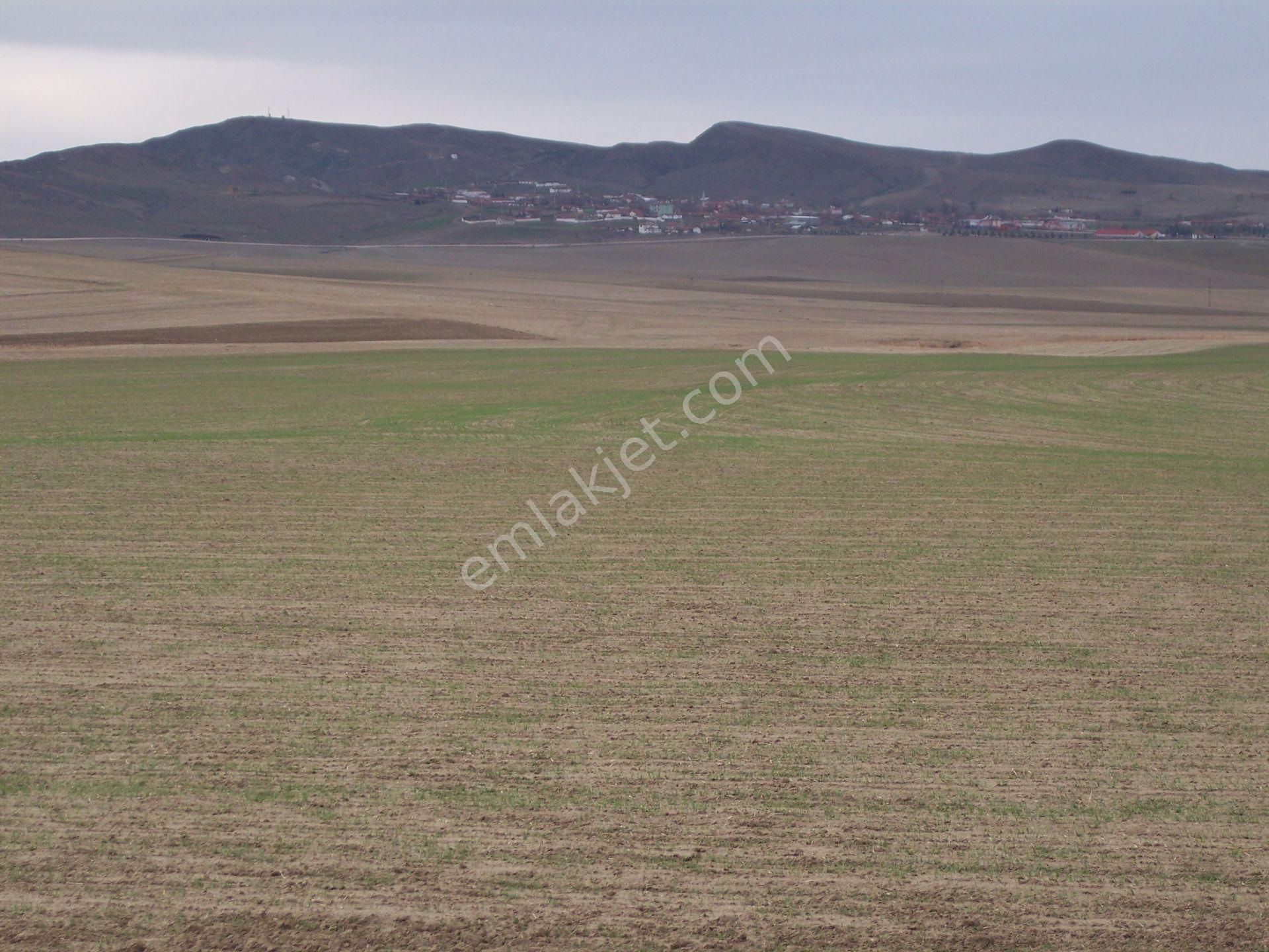 Polatlı Eskipolatlı Satılık Tarla İhtiyaçtan Eskipolatlar Mah. 39.000m2 Müstakil Tek Tapulu Tarla