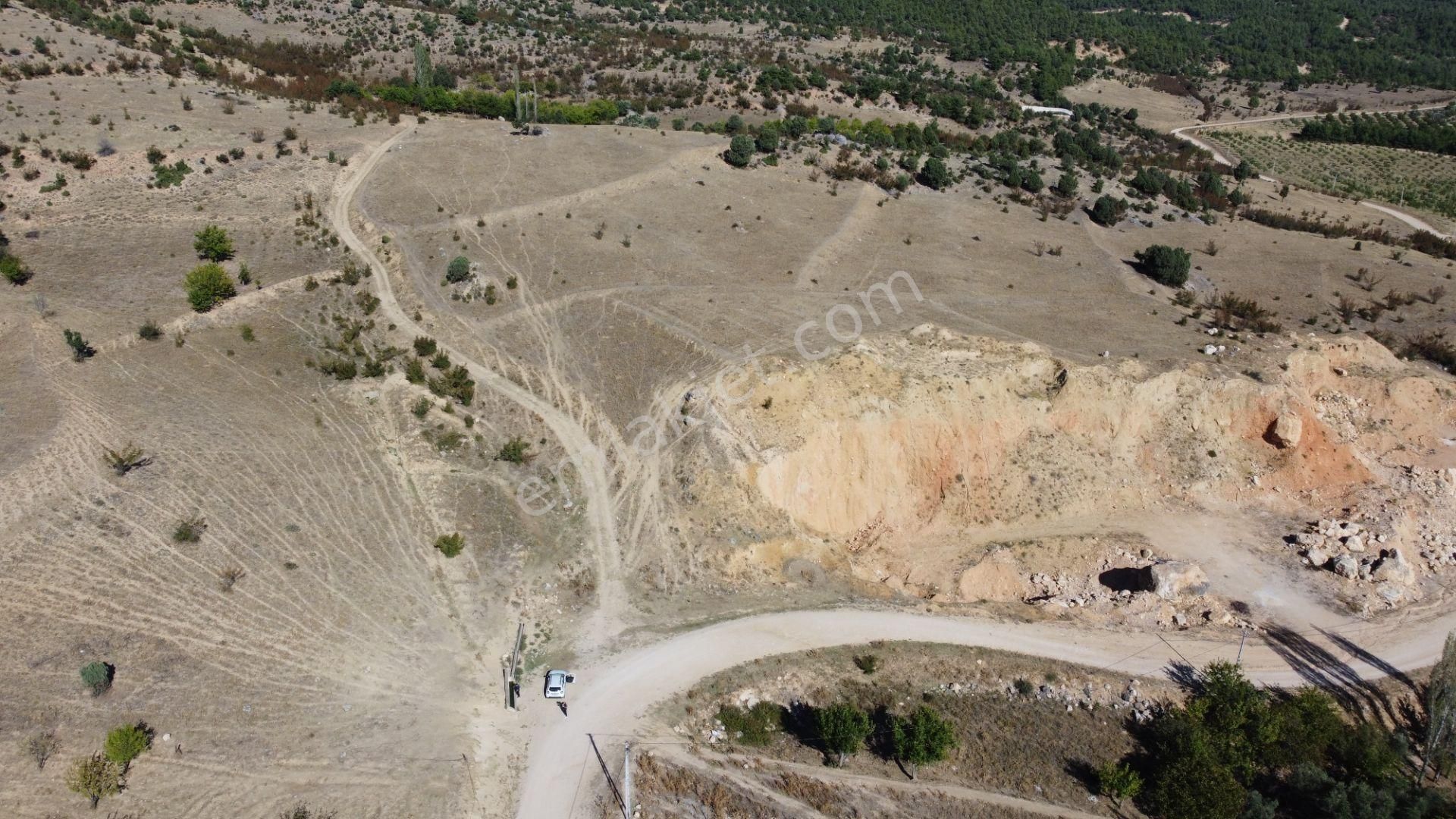 Söğüt Tuzaklı Köyü Satılık Tarla 6,5 Dönüm Manzaralı Köye Yakın Satılık Arazi