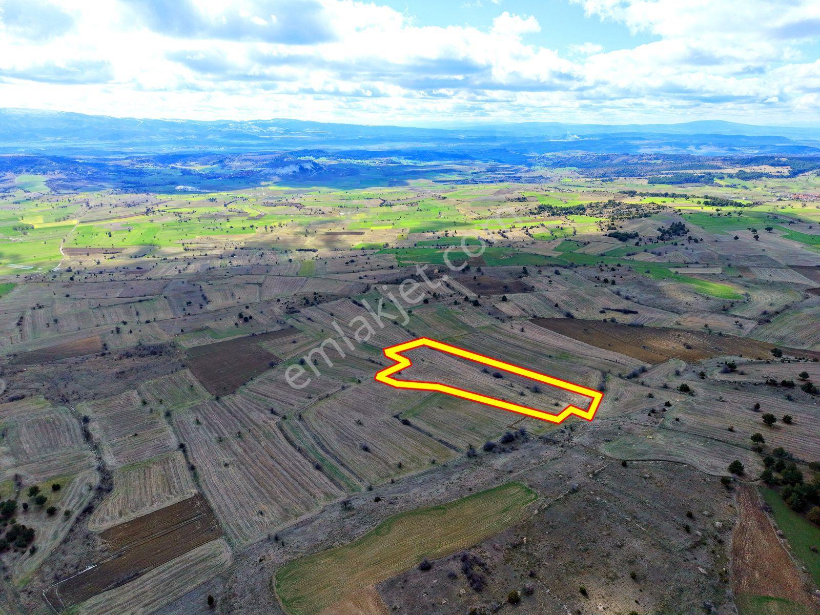 Kütahya Merkez'de 18.076 M2 Yerleşime Yakın Dümdüz Fırsat Arazi