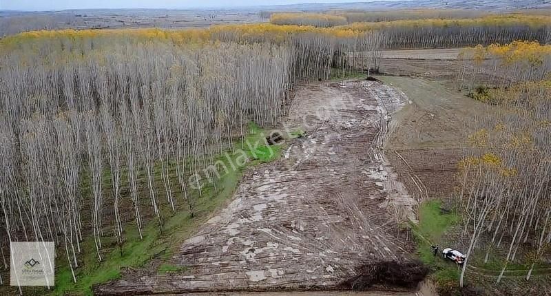 Havsa Yolageldi Köyü Satılık Tarla EDİRNE HAVSA YOLAGELDİDE 9.475 M2 KÖYE YAKIN TARLA