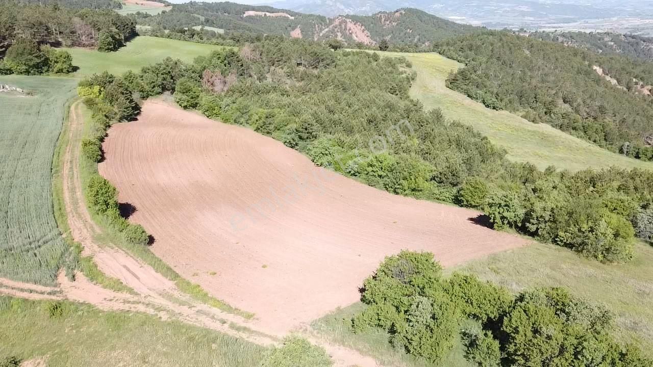 Göynük Kızılkuyu Köyü (Köstekler) Satılık Tarla BOLU GÖYNÜK KIZILKUYU MAH. 6275 M2 TARLA 610 BIN TL