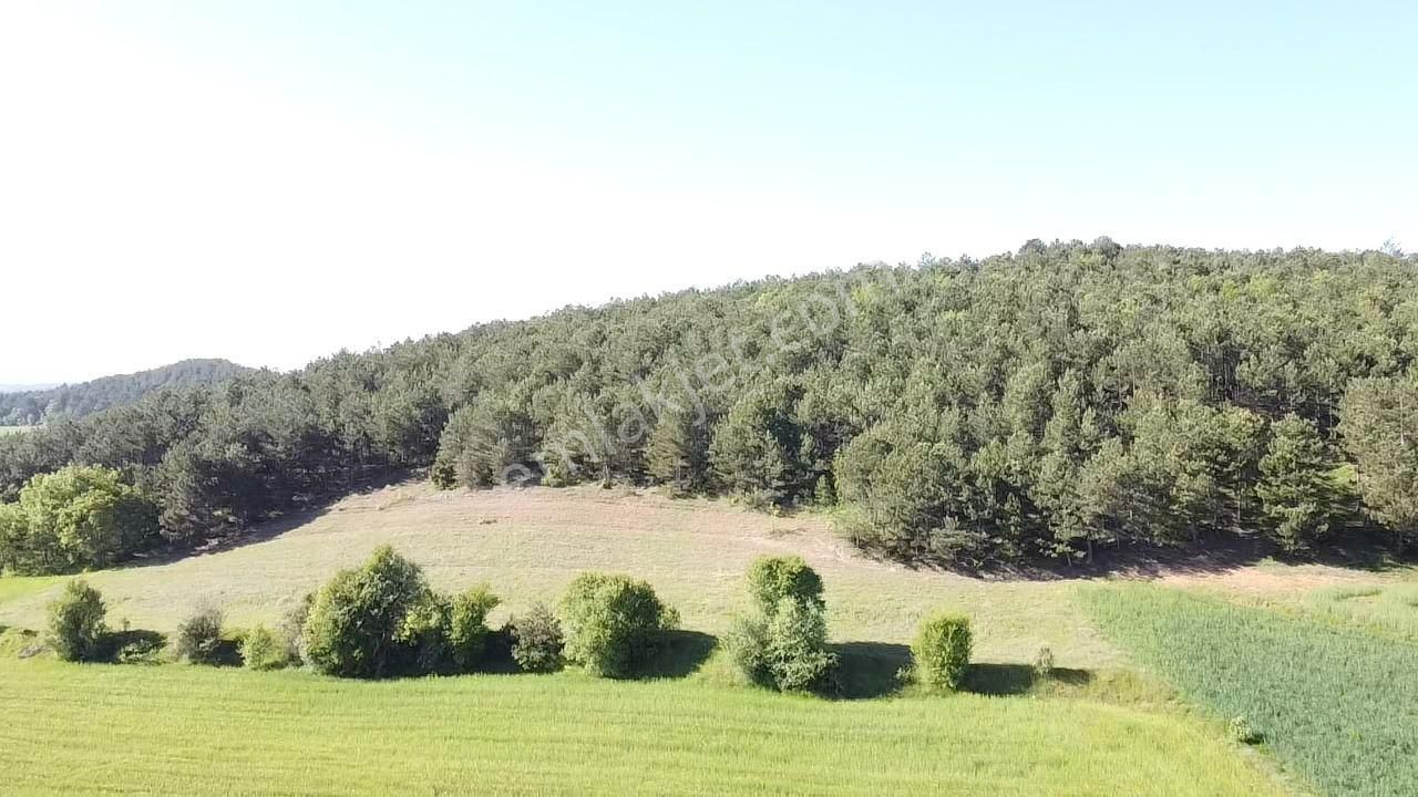 Göynük Kızılkuyu Köyü (Merkez) Satılık Tarla BOLU GÖYNÜK KIZILKUYU MAH. 2035 M2 TARLA 