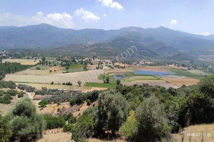 Tire İbni Melek Satılık Tarla İZMİR TİRE İBNİMELEK MAHALLESİ 5 PARSEL 353.000 M2 SATILIK ARAZİ