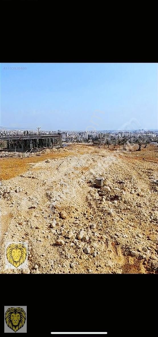 Kilis Merkez Şıh Mehmet Satılık Konut İmarlı Uçar Emlaktan Satılık 615m Villa Arsası