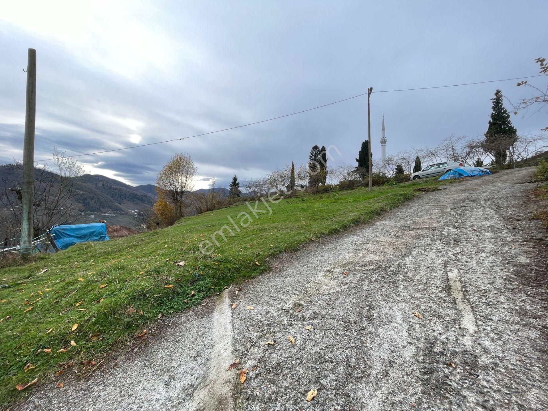 Ortahisar Yeşilyurt Satılık Bağ & Bahçe Trabzon Ortahisar Yeşilyurt Yola Cepheli Satılık Arsa