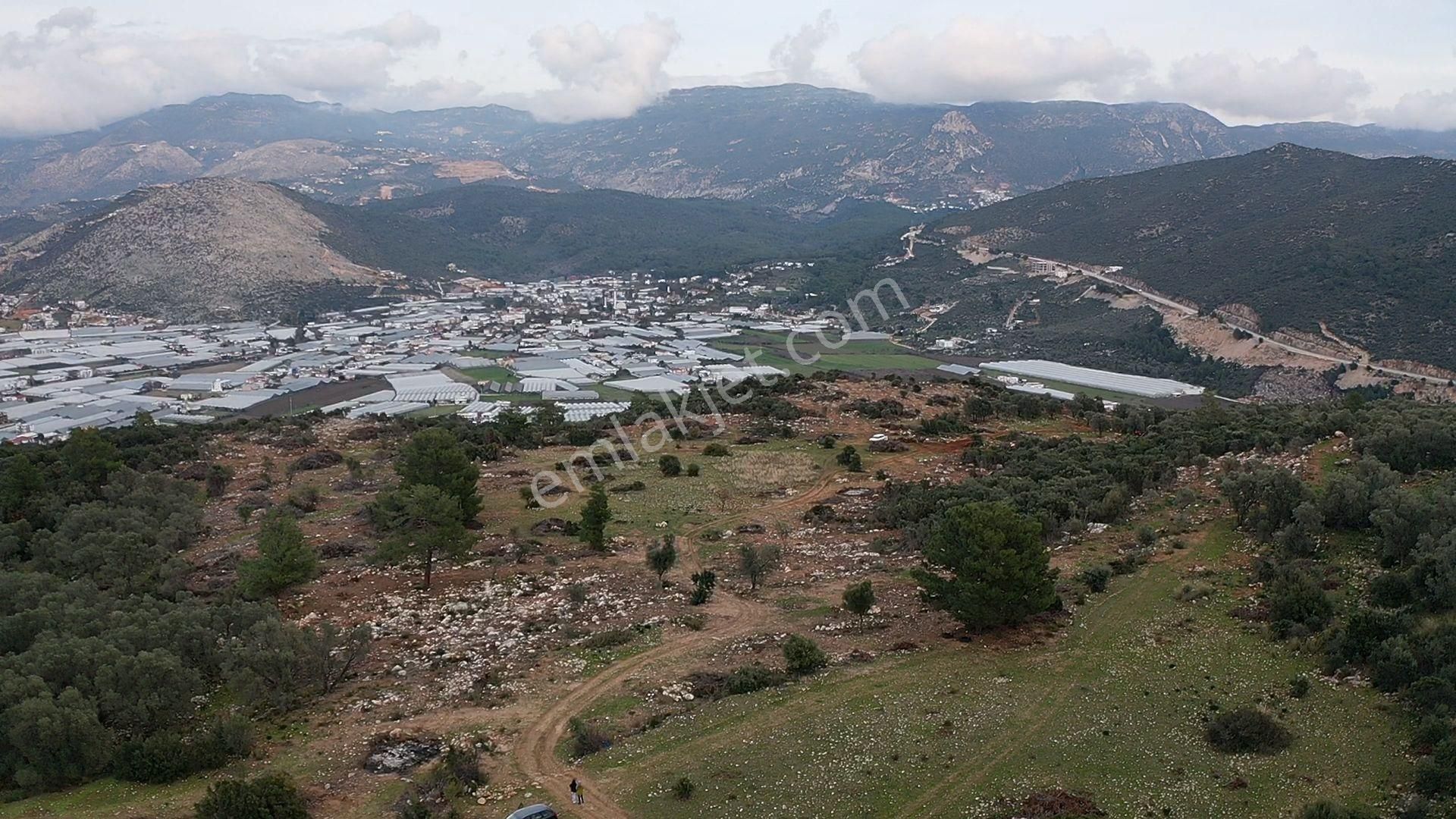 Yatırımlık