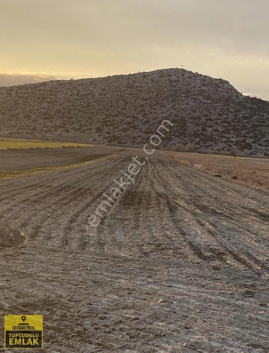 Korkuteli Çaykenarında 15.500.metrekare - Görsel 17