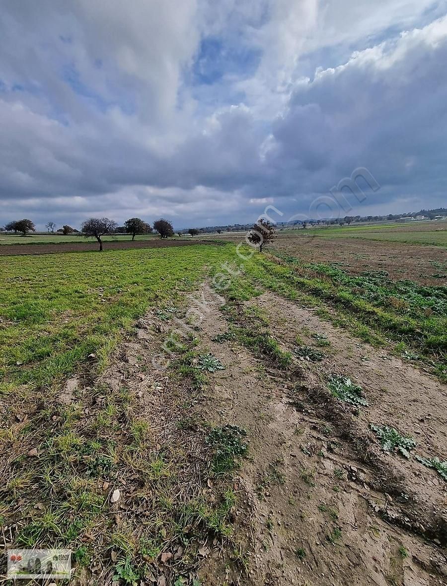 Han Emlak'tan Yılın İlk Fırsatı Tevfikiye Köyünde 17250 M2 Tarla - Görsel 10