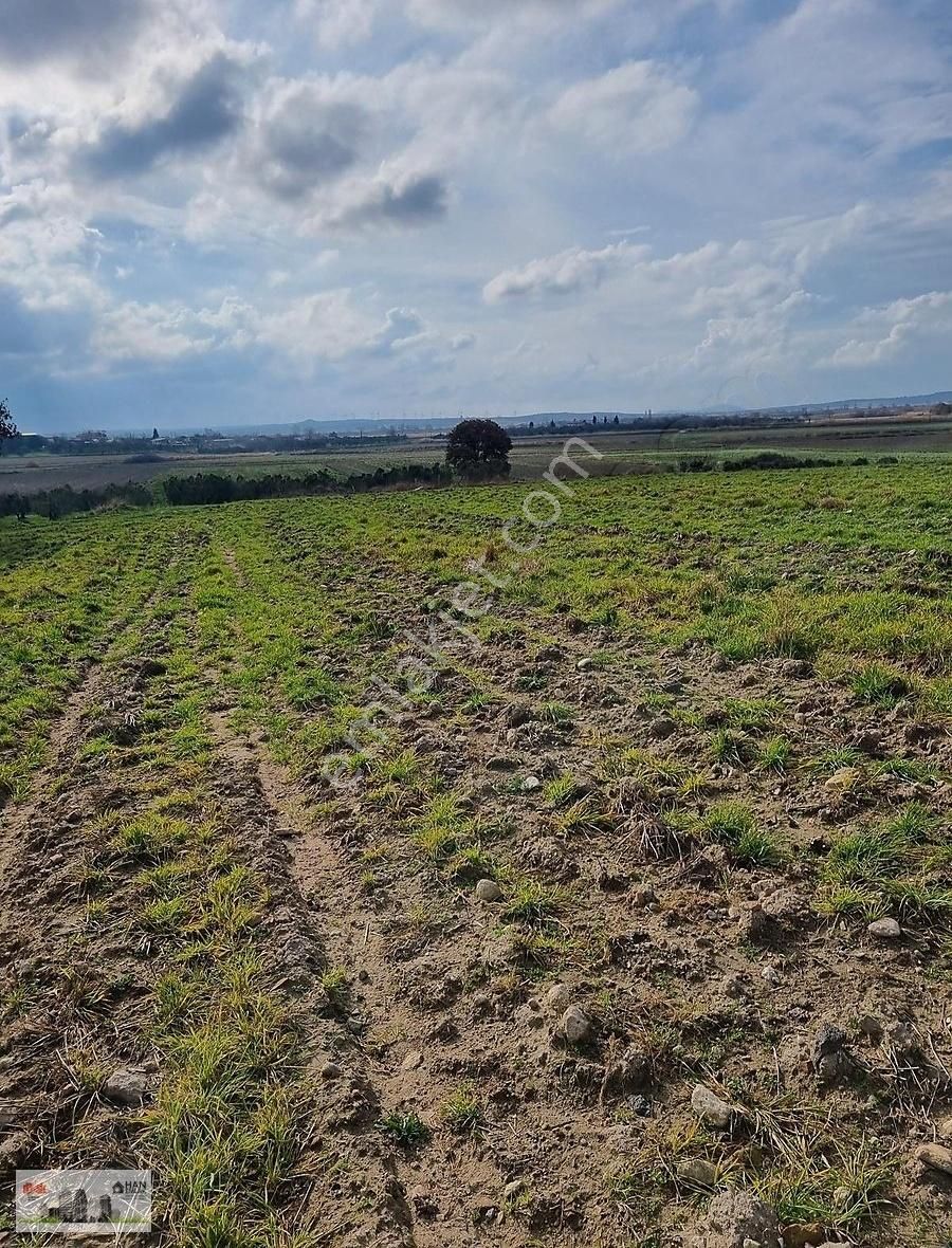 Han Emlak'tan Yılın İlk Fırsatı Tevfikiye Köyünde 17250 M2 Tarla - Görsel 17