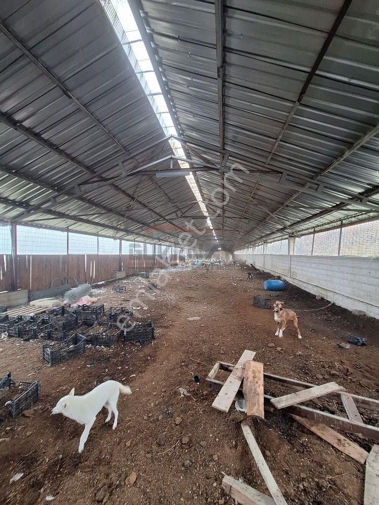 Güvenay - Çorum İskilip Yolunda Satılık 11.112 M² Çiftlik - Görsel 7