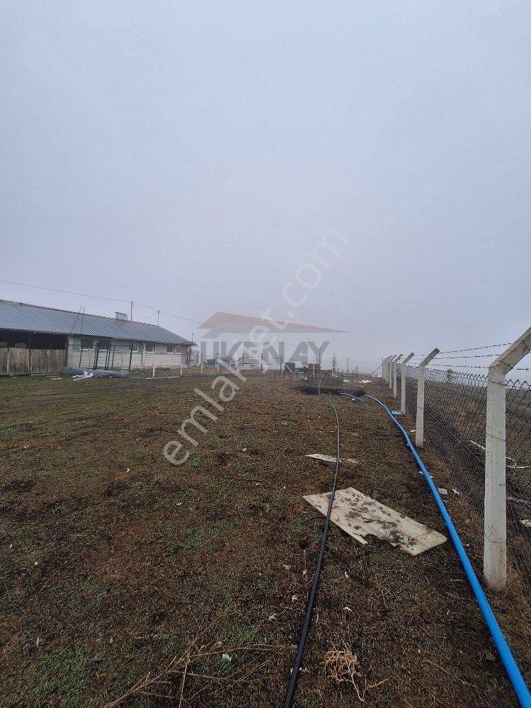Güvenay - Çorum İskilip Yolunda Satılık 11.112 M² Çiftlik - Görsel 6