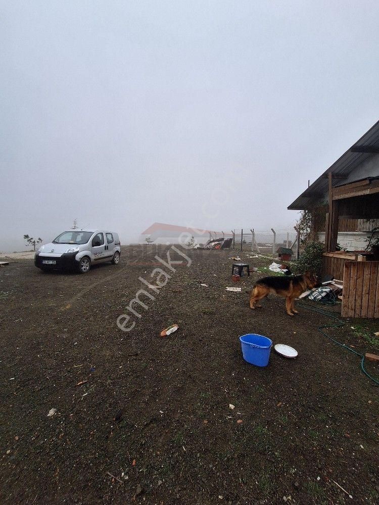 Güvenay - Çorum İskilip Yolunda Satılık 11.112 M² Çiftlik - Görsel 13