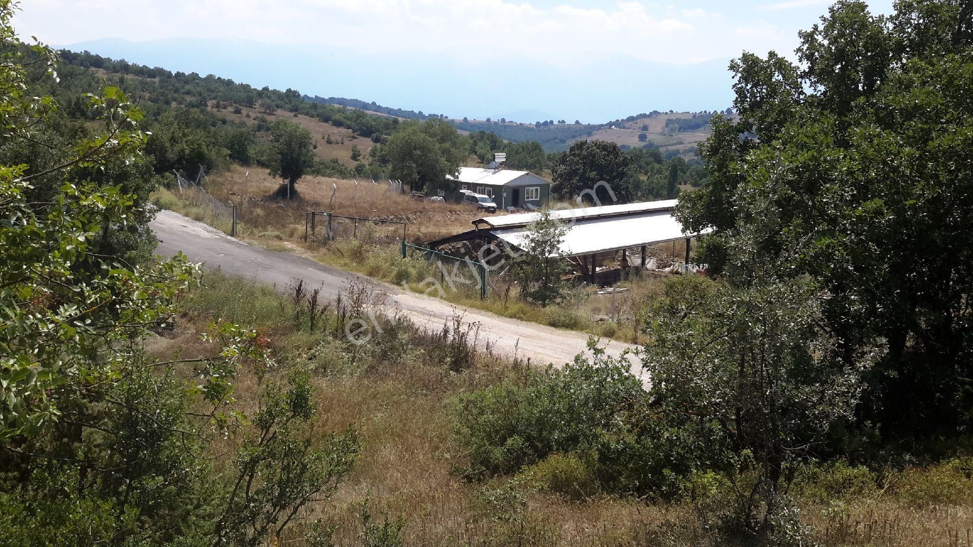 Kestel Nüzhetiye Satılık Çiftlik Evi şehre yakın 10 dönüm çiftlik 