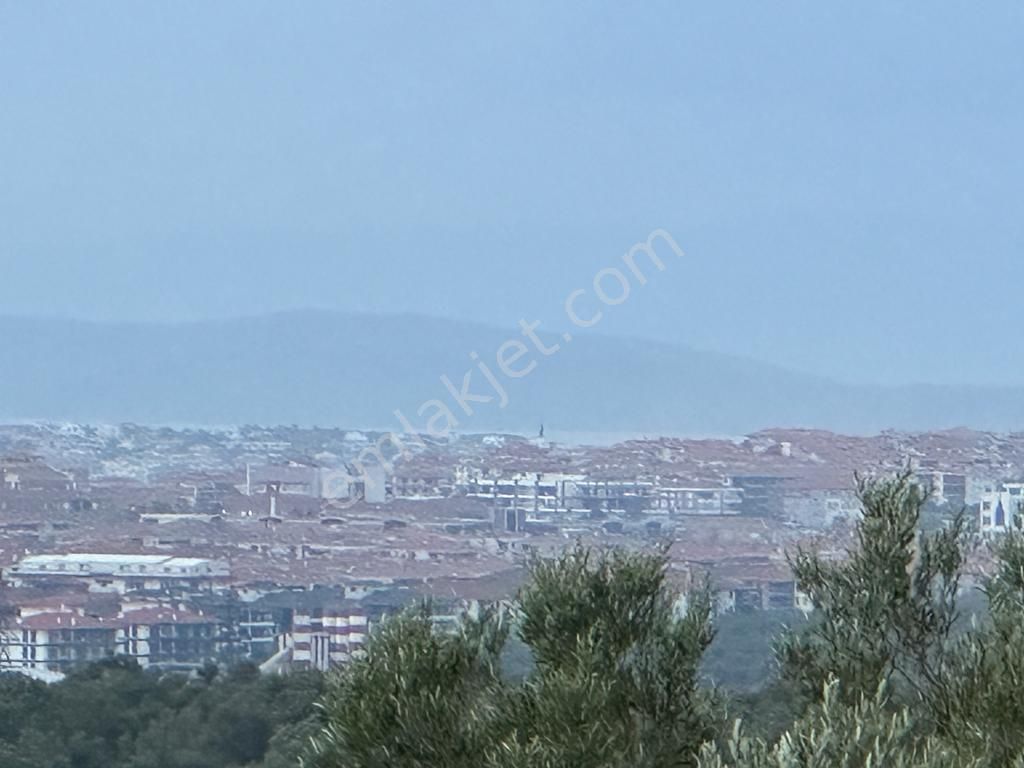 Ayvada'dan Ayvalık Kazımkarabekir 25 Dönüm Bakımlı Zeytinlik - Görsel 10