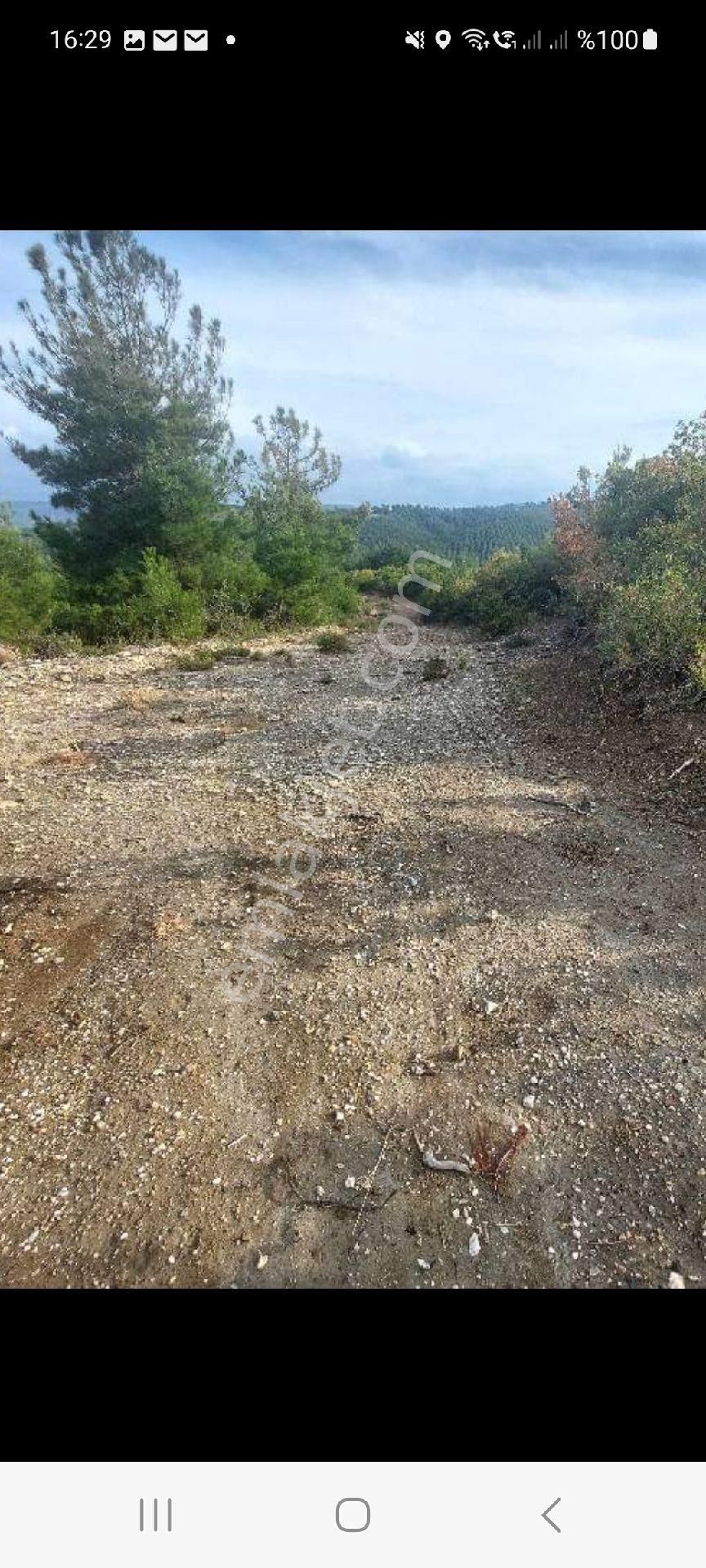 Çanakkale Merkez Denizgöründü Köyü Satılık Tarla ÇANAKKALE MERKEZ DENİZGÖRÜNDÜ KÖYÜNDE TAM YATIRIMLIK TARLA 