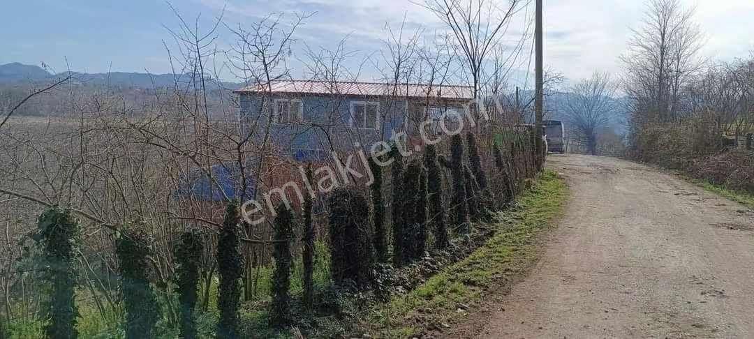 Samsun Terme Uzungazi Mah De Satikik Evi Ahiri Olan Findik Bahcesi Satikikdir - Görsel 9