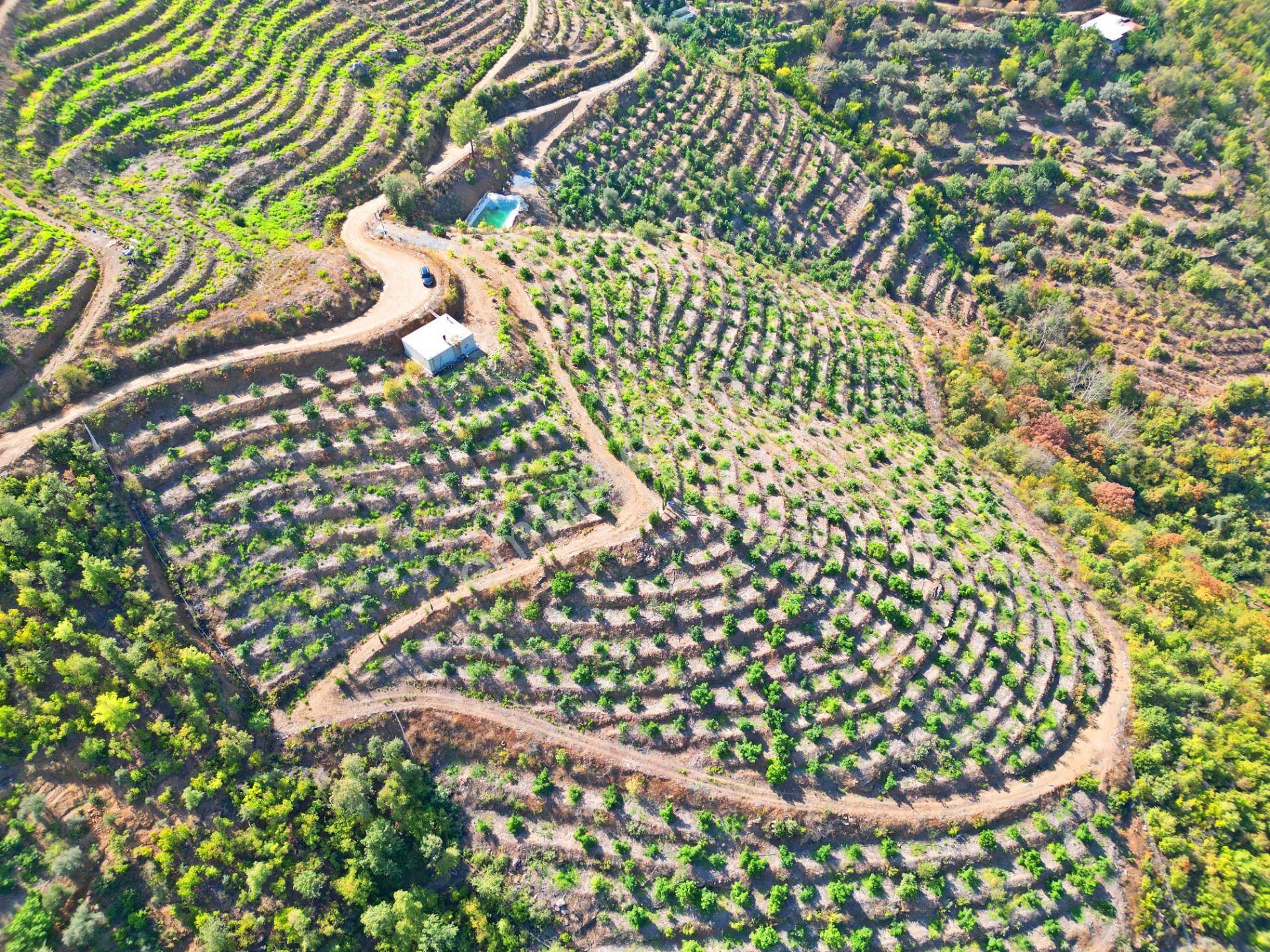 Gazipaşa Hasdere Satılık Tarla  GAZİPAŞA HASDEREDE SATILIK 20.616 M2 YATIRIMLIK MASRAFSIZ ARSA