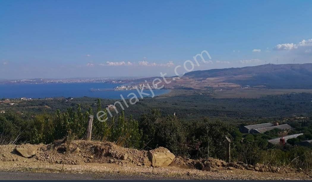 Erdek Hamamlı Satılık Tarla  BALIKESİR ERDEK HAMAMLIDA 23.000M2 TARLA  29.000.000 TL 