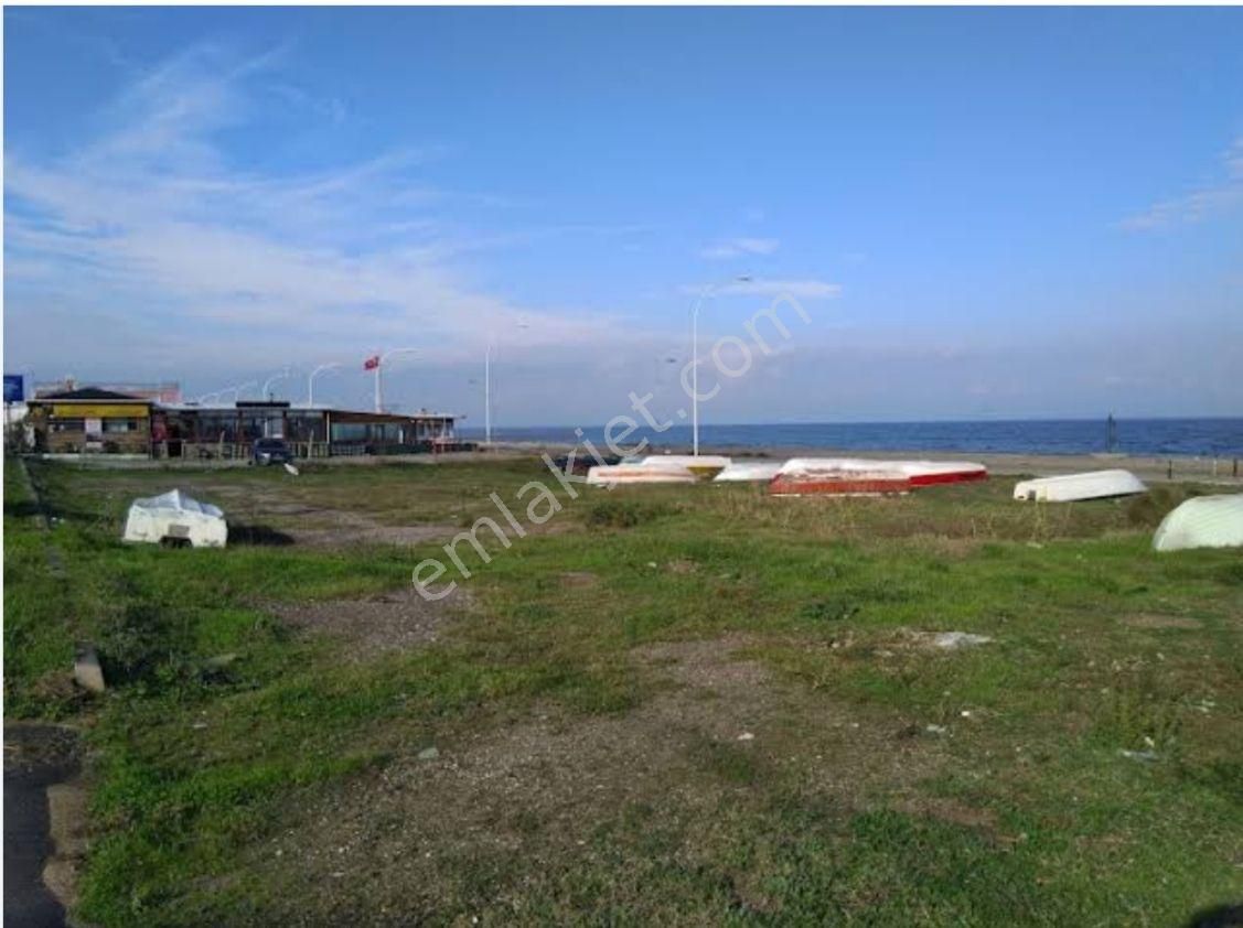 Erdek Harmanlı Satılık Tarla  BALIKESİR ERDEK HARMANLIDA DENİZE SIFIR 6.500 M2  TARLA 7.700.000 TL