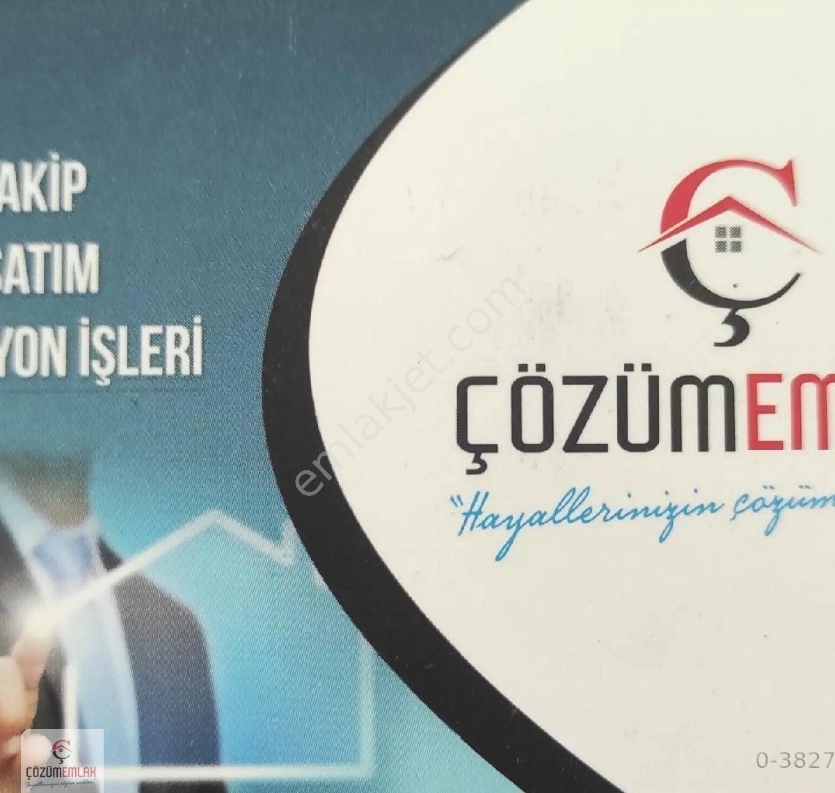 Kırkağaç Öveçli Satılık Zeytinlik ÇEKİRDEK AİLE İÇİN ZEYTİNLİK