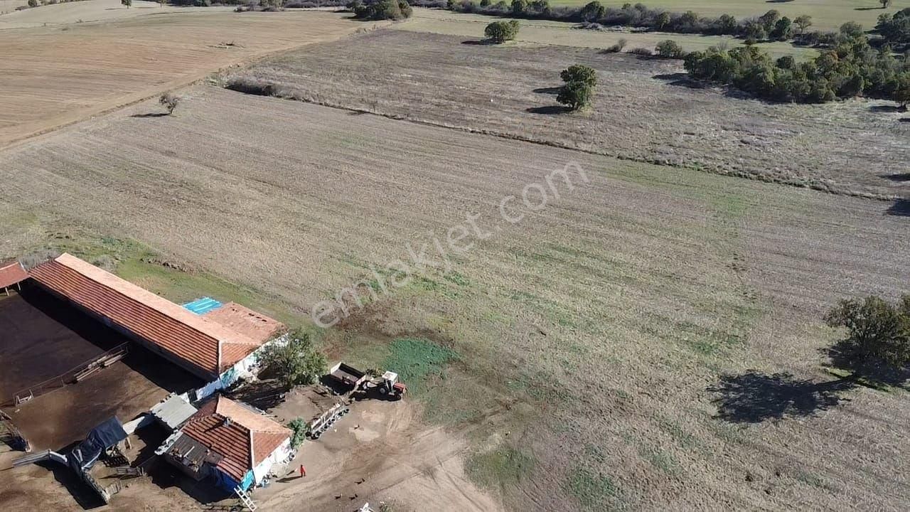 Kırklareli Merkez Karahamza Köyü Satılık Tarla Kırklareli Karahamza Köylerinde Çiftlik Yanı İçinde Ev Mevcut