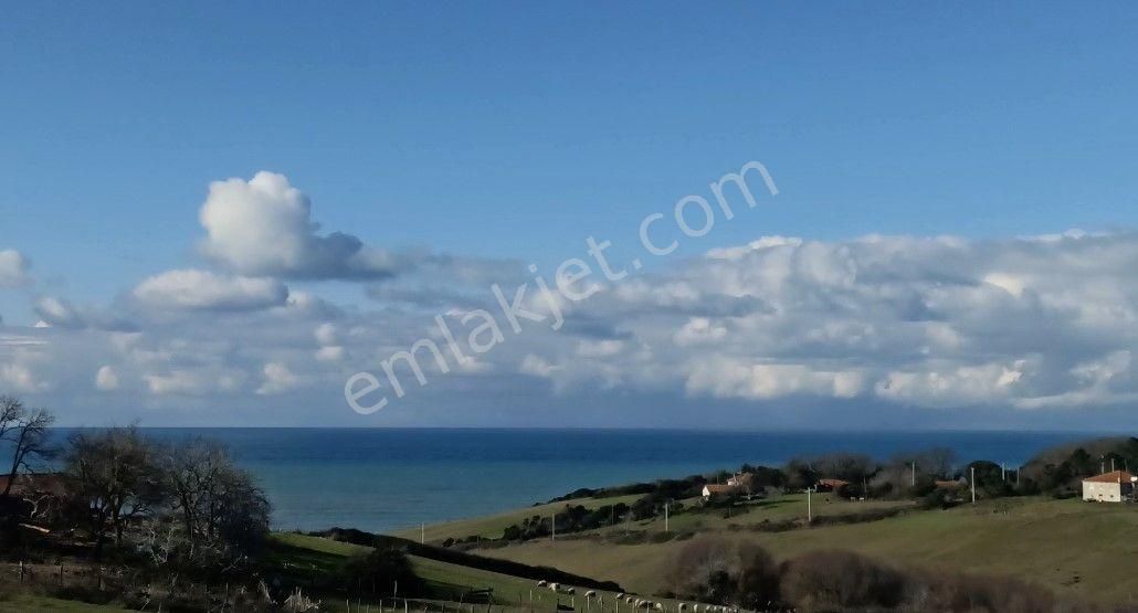 Sinop Merkez Abalı Köyü (Kurtkuyusu) Satılık Tarla  SİNOP,ABALI 5 DÖNÜM SATILIK TARLA