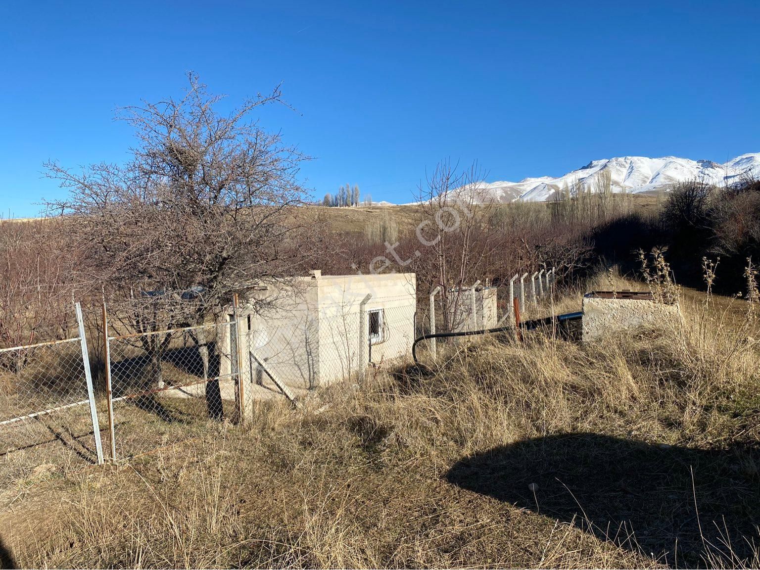 Çamardı Kavlaktepe Köyü Satılık Tarla Salih Emlak Tan 3244 M2 Sulak Bakımlı Bahçe