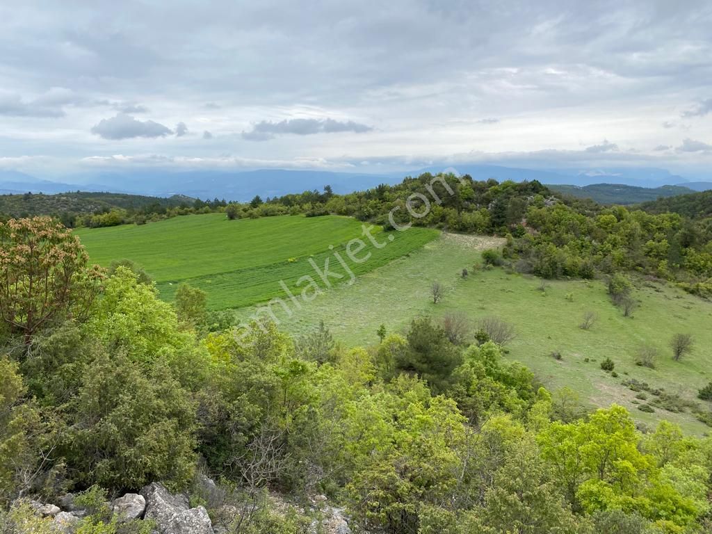 Osmaneli Balçıkhisar Köyü Satılık Tarla  OSMANELİ BALÇIKHİSAR KÖYÜNDE 2767 M2 TARLA 