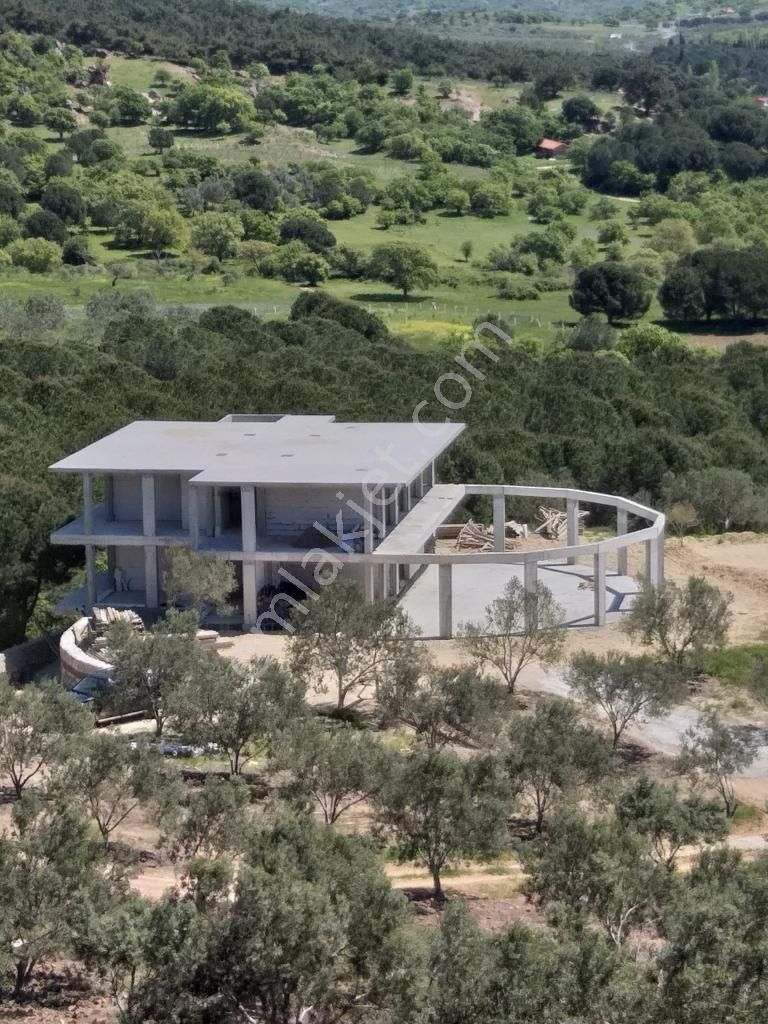 Satılık Yatırımlık Zeytin Bahçesi Tarla - Görsel 14