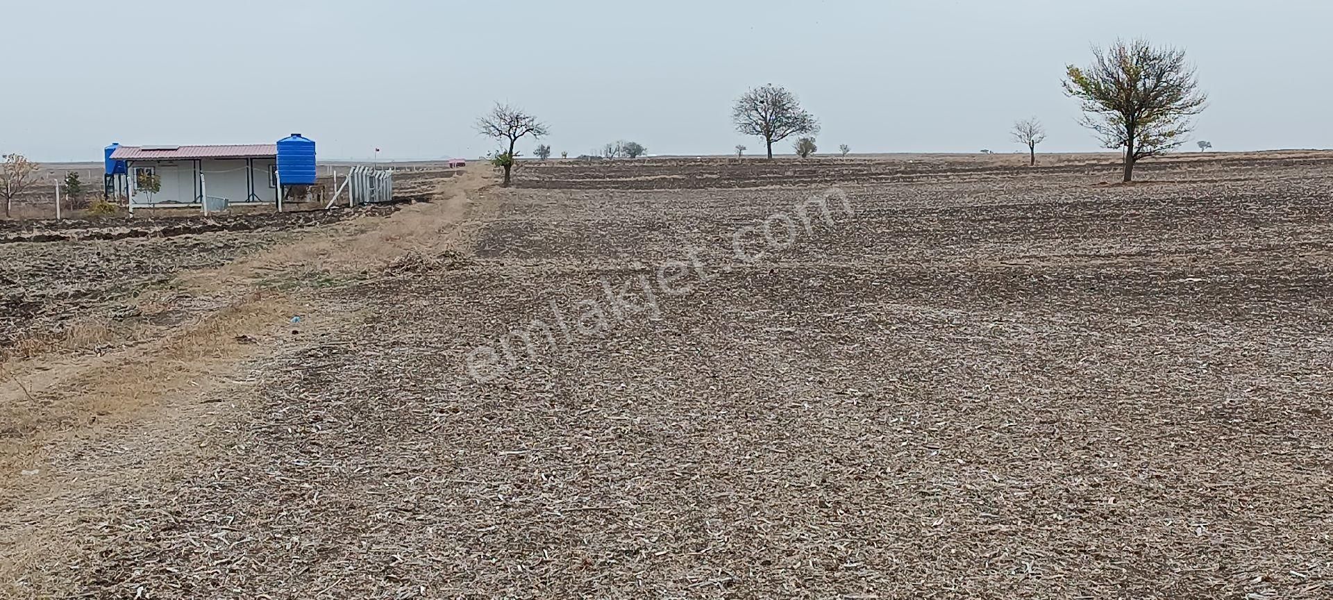 Saray Kadıköy Satılık Tarla Kadıköy Mahalleye 1000 Metre Mesafede 336 M2 Satılık Bağ Yeri