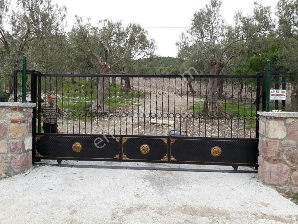 Nyc Gayrimenkul Satılık Yatırımlık 7 Dönüm Zeytın Bahçesı Tarla - Görsel 7