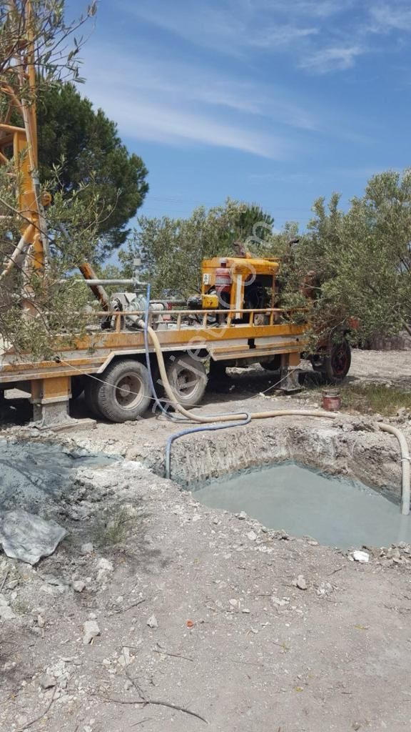 Nyc Gayrimenkul Satılık Yatırımlık 7 Dönüm Zeytın Bahçesı Tarla - Görsel 13