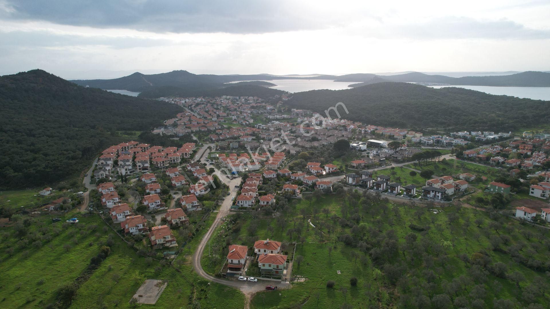 Ayvalık Sefa Çamlık Satılık Muhtelif Arsa Balıkesir Ayvalık Camlık Ta Satılık 3594 Metre Kare Arsa.