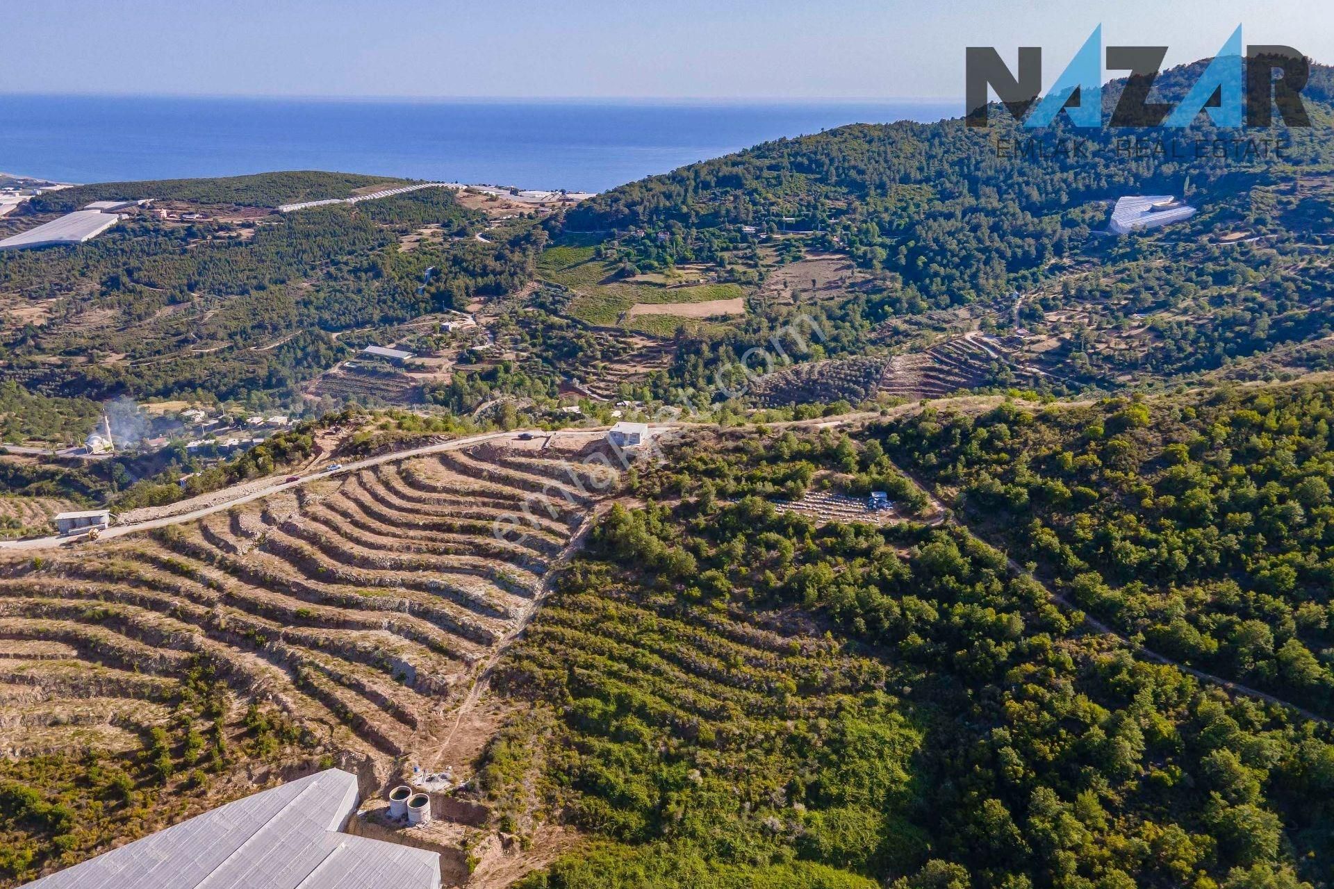 Alanya İsbatlı Satılık Tarla Alanya İsbatlı'da Satılık Tarla