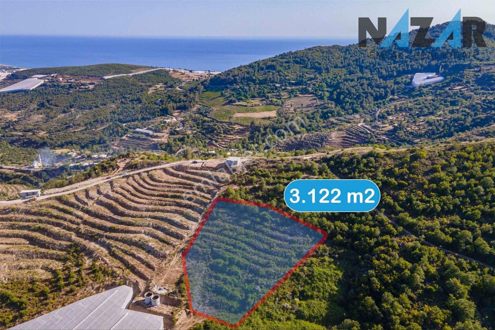 Alanya İsbatlı'da Satılık Tarla - Görsel 2