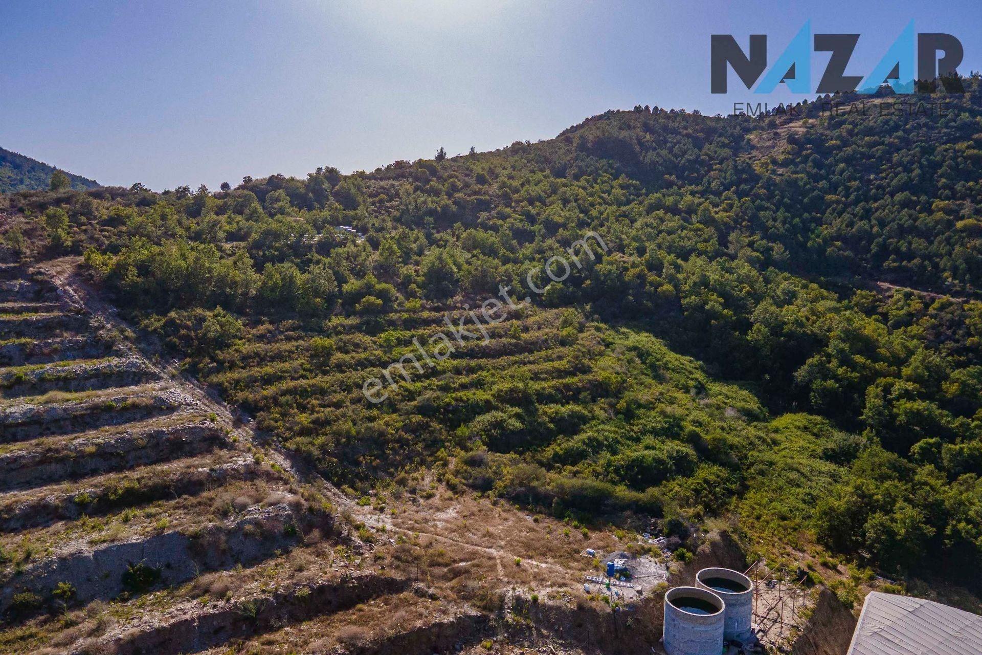 Alanya İsbatlı'da Satılık Tarla - Görsel 6