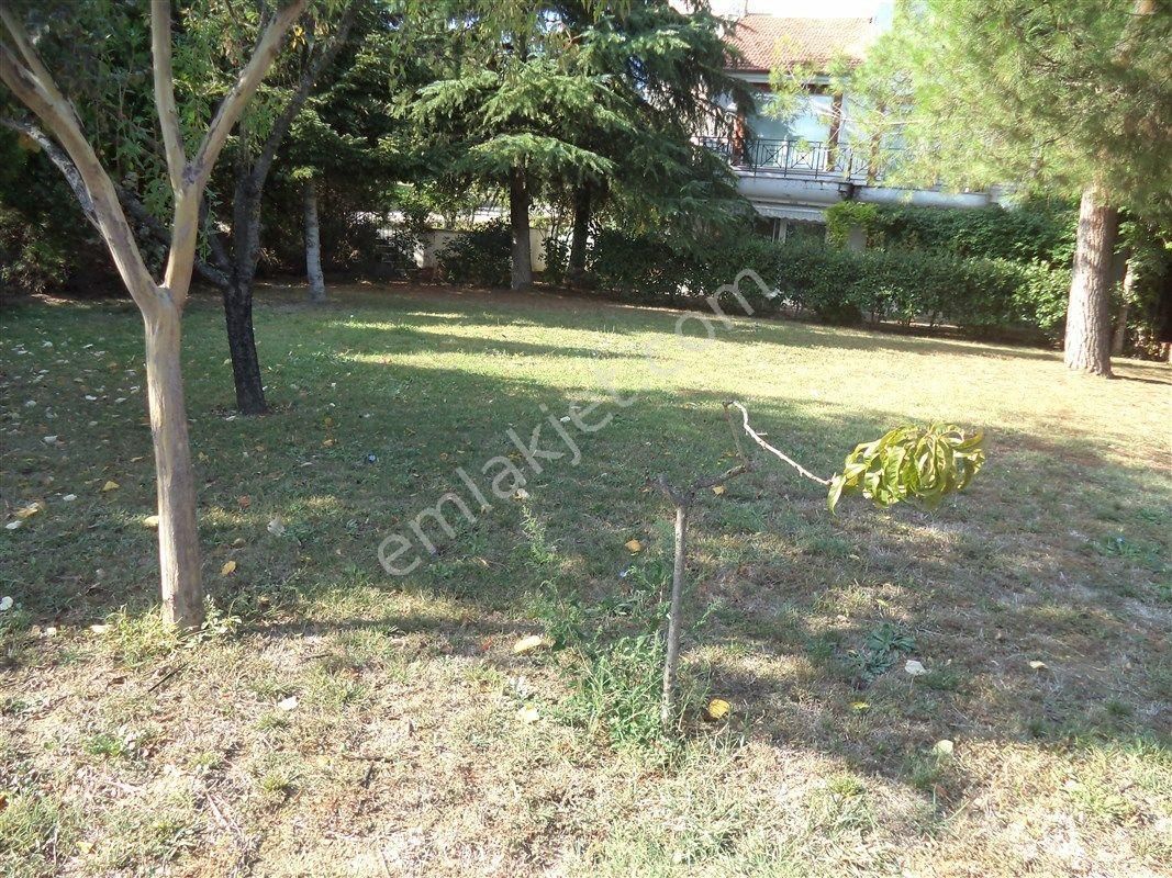 Mudanya Bademli'de Satılık 8+2 Merkezde Bakımlı Villa - Görsel 3