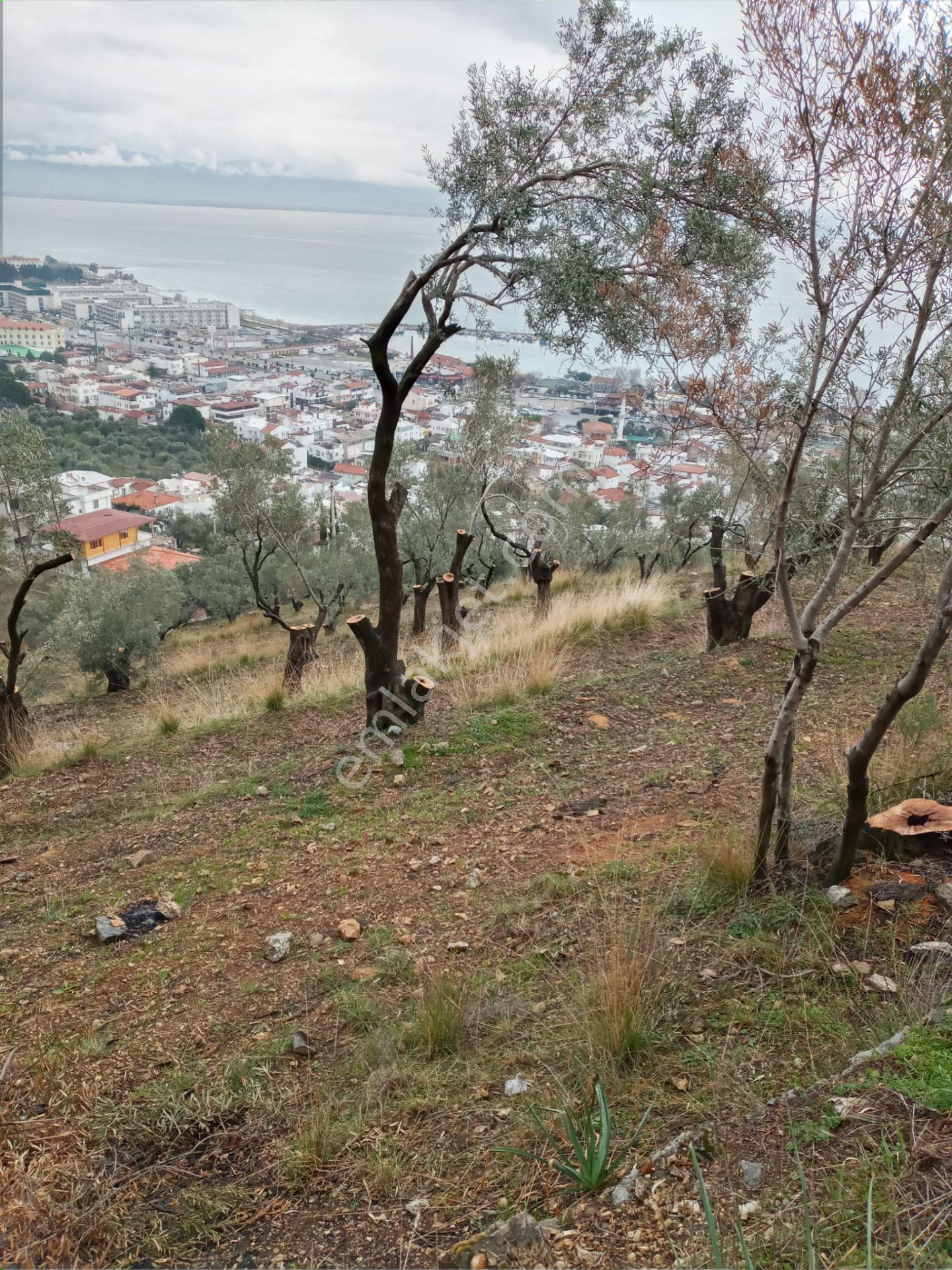 Edremit Güre'de Satılık İmarlı Arsa - Görsel 8