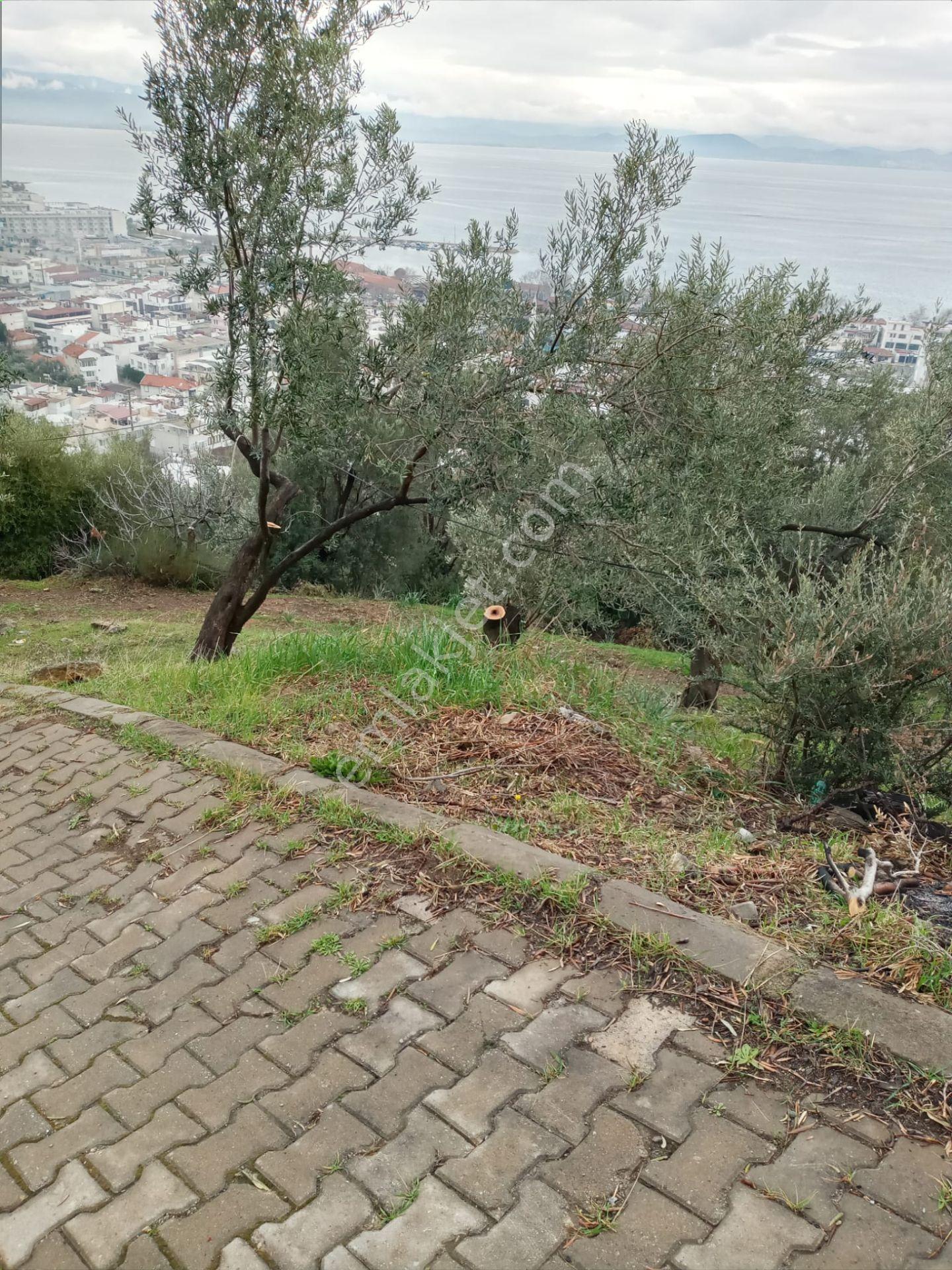 Edremit Güre'de Satılık İmarlı Arsa - Görsel 3
