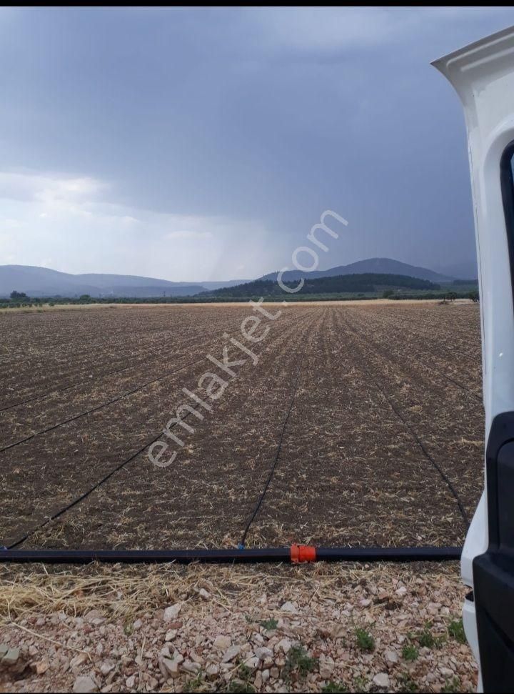 Kırkağaç Küçükyaya Satılık Tarla Kırkağaç Küçükyaya Köyünde 15.000 m² Satılık Tarla 