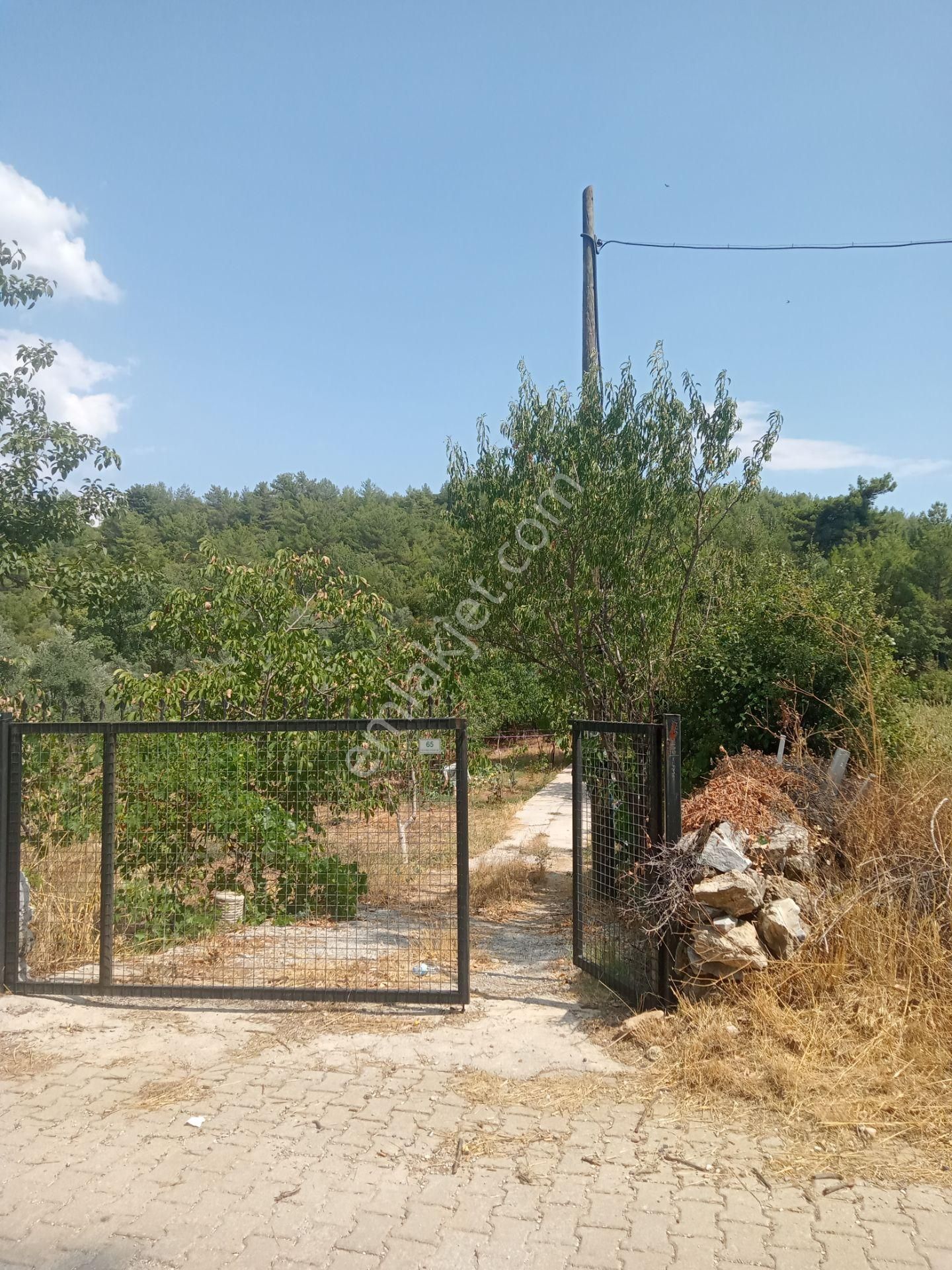 Muğla Yerkesik Mah.1.600 M2 Satılık 1+1 Evi Deposu Olan Tarla