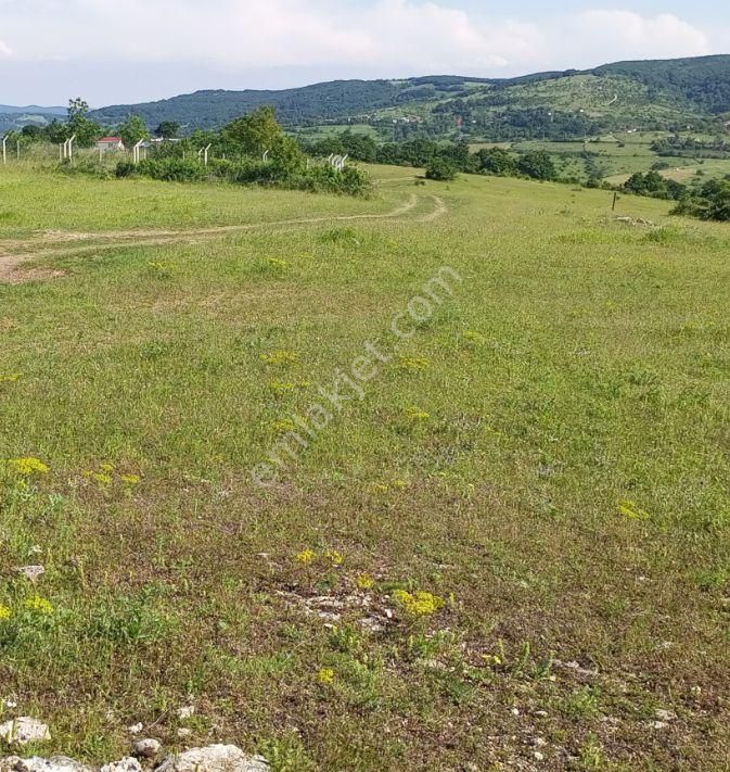 Sahibinden Satılık Arazi - Görsel 4