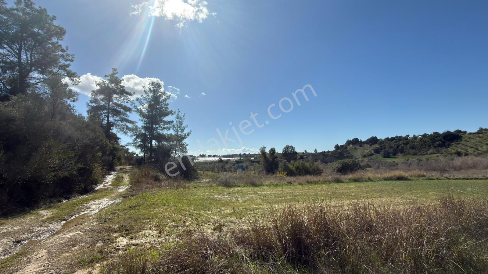 Manavgat Evrenleryavşı'da Tek Tapu Satılık Tarla - Görsel 2