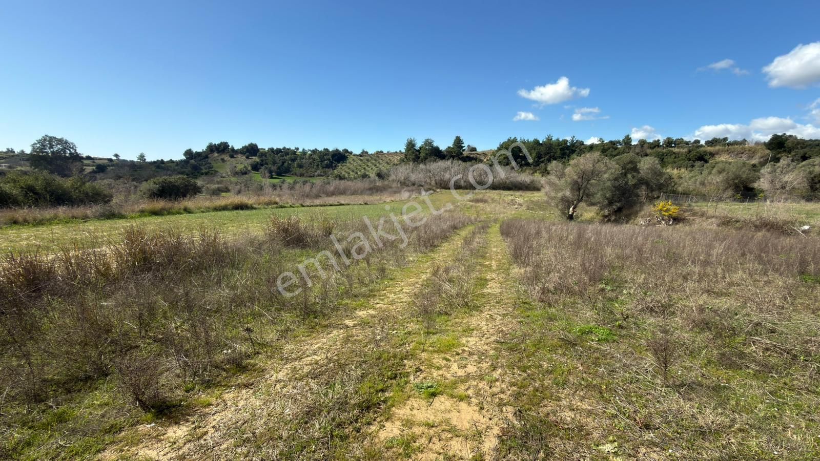 Manavgat Evrenleryavşı'da Tek Tapu Satılık Tarla