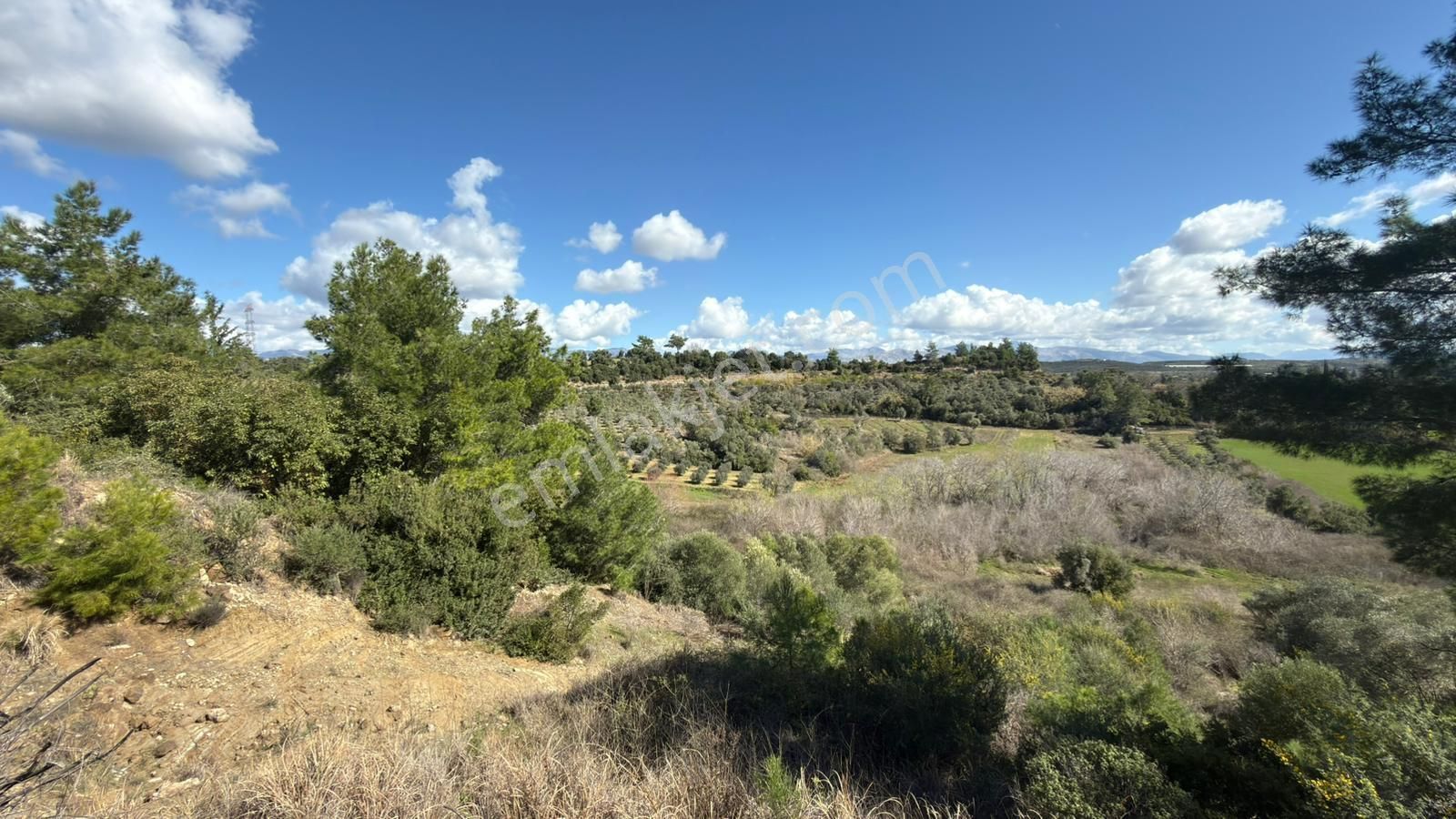 Manavgat Evrenleryavşı'da Tek Tapu Satılık Tarla - Görsel 10