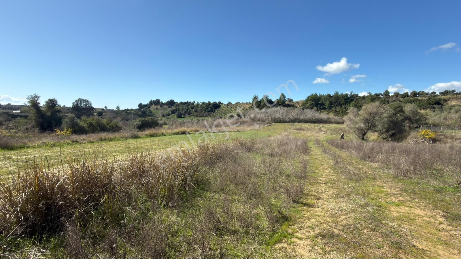 Manavgat Evrenleryavşı'da Tek Tapu Satılık Tarla - Görsel 6